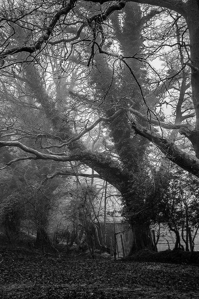 Est Quo Quia Aspernatur.